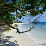 Petit Tabac Tobago Cays Grenadine - catamarani noleggio Antille - © Galliano